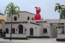 biscayne veterinary center